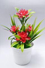 Beautiful plastic red flowers in pots home decoration isolated on white background