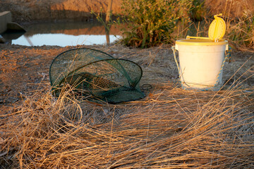 Early morning checking the Opera House Yabby net on the banks of a channel