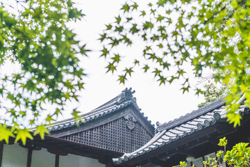 日本の伝統的な建物と木々
