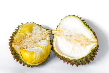 Fototapeta premium cut open Durian tropical fruit on white background