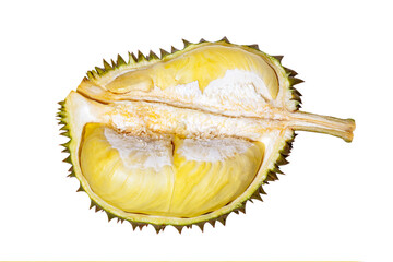 Fototapeta premium cut open Durian tropical fruit on white background