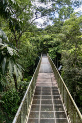 Elevated WIldlife walkway in Rainforest Discovery Centre Sandakan Borneo