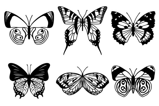 Realistic butterfly collection. Black colour butterflise on white background. Vector illustration.