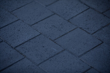 Paver Texture