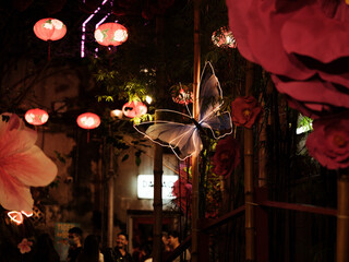 Butterfly in the night street decoration