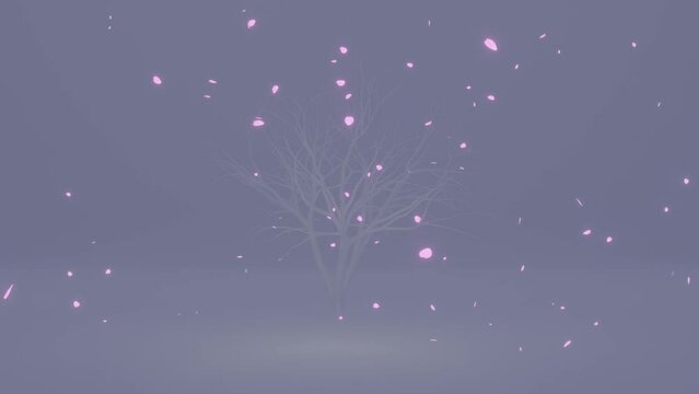 夜桜が風に吹かれて散る様子の動画素材