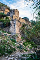 ممر مشاة لشلالات رميمين والقلعة القديمة - الاردن
A walkway to the Rmemeen Falls and the old castle - Jordan