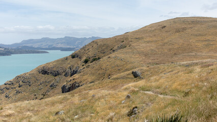 Seascape from a national park in New Zealand. A sea bay with a rocky shore. 