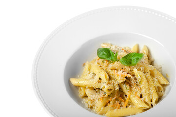 Tasty Italian pasta with a cheese sauce