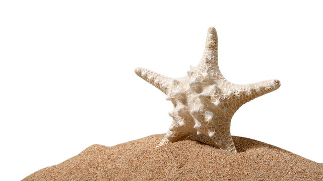 One Starfish on beach sand isolated on white background