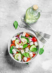 Vegetable salad. Salad with vegetables, cheese and olive oil.