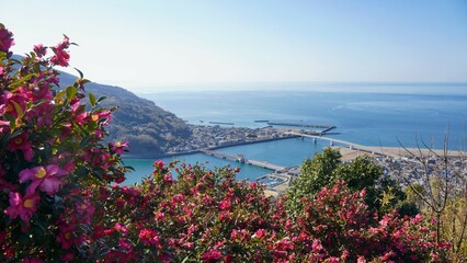 日本最古の稼働橋・長浜大橋【愛媛県大洲市】6