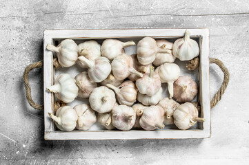 Fresh garlic in the tray.