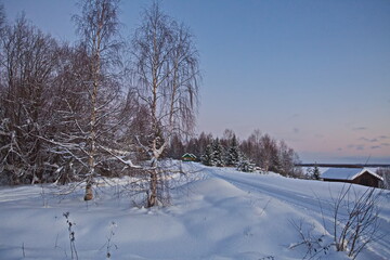 Early morning in the vicinity of the camp site on the banks of the river Pinega.