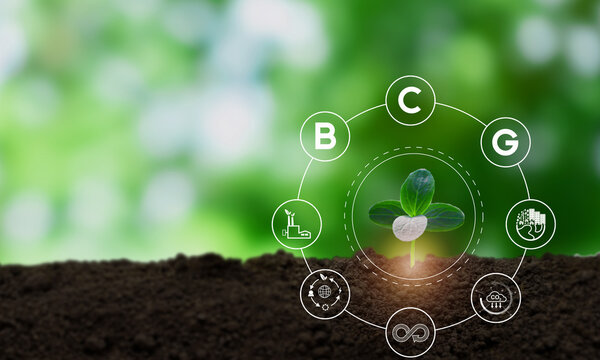 Bio-Circular-Green Economy (BCG) model. Strategy for the sustainability of economy, society and environment. Sustainable development, economy model, BCG model concept. BCG icons on green nature view.