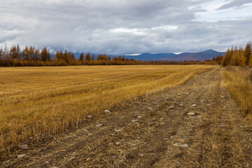 Autumn rural landscape. View of the mowed and harvested agricultural fields. Forest and mountains in the distance. Agriculture in Siberia and the Russian Far East. Nature of the Magadan region. Russia