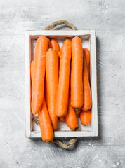 Fresh carrot on the tray.