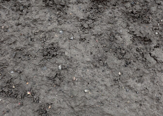 Top view, ground texture. Background of wet soil