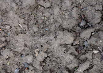 Top view, ground texture. Background of wet soil