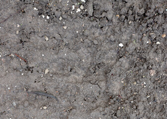 Top view, ground texture. Background of wet soil