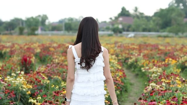 Young Asian woman in white dress relaxing walk in flower garden, light at sunset. 4K image.