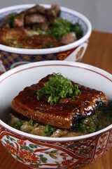 Japanese rice bowl with fish slice on top