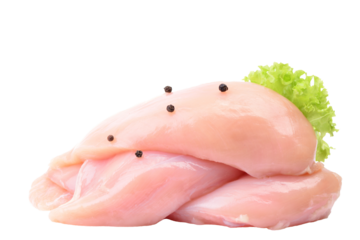 Raw chicken meat isolated