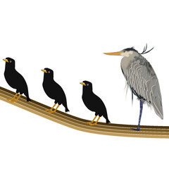 bird on a branch