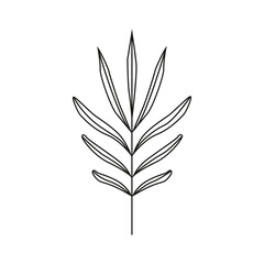 Hand drawn plant illustration.