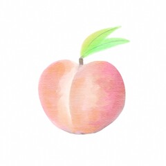 Peach pink and orange with two leaves, digital drawing in a watercolor style.