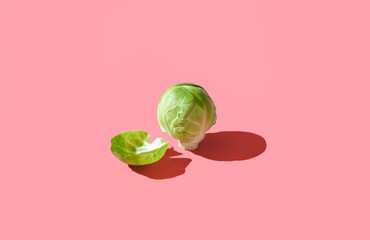 Brussels sprout isolated on a vibrant pink background.