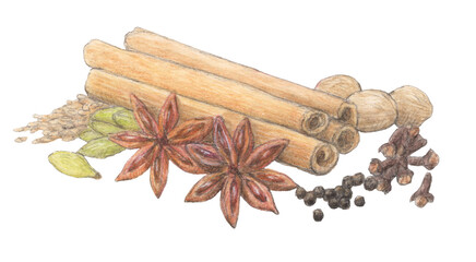 スパイス　水彩色鉛筆イラスト