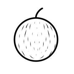 Fruit Line Icon