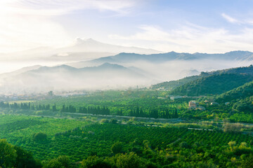 Fototapeta na wymiar view at beautiful misty spring mountain valley with green gardens and mountains in mist on background of landscape