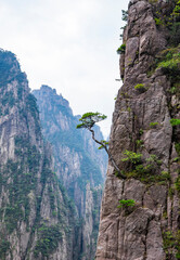 Natural scenery of Huangshan Scenic Area in Anhui Province