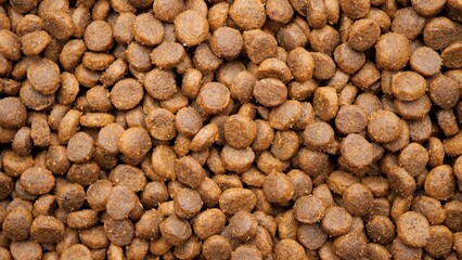 Dry dog or cat food top view