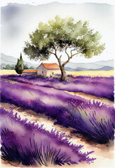 Lavande Provence, France. Champ de lavande peinture aquarelle. Generative AI. - obrazy, fototapety, plakaty
