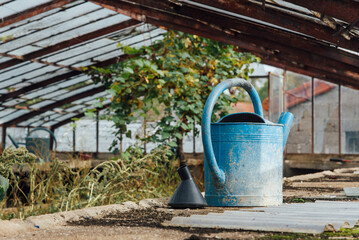 un vieil arrosoir bleu dans une serre abandonnée Un ancien arrosoir en métal bleu dans une serre horticole abandonnée. Un jardin abandonnée © david