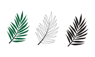 Vector illustration of green palm leaves isolated on white background