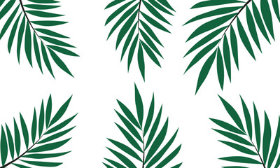 Vector illustration of green palm leaves isolated on white background