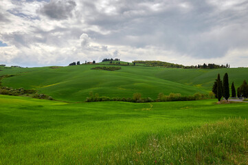 Obraz premium Spring landscape in the rolling hills of Tuscany