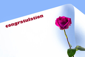 Red rose and a sheet of paper with a place for congratulations.