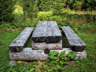 Fototapeta premium A place to relax in nature
