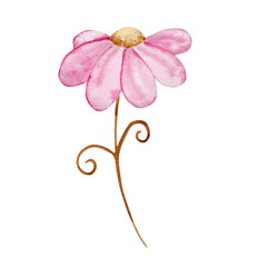 Watercolor pink flower Valentine Day