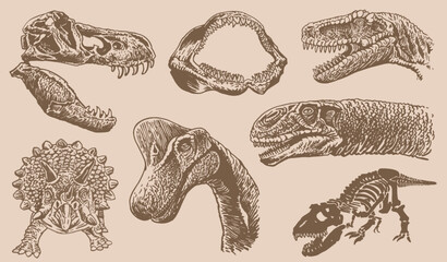Graphical big vintage set of dinosaurs on sepia background, vector illustration.Fossils © Алексей Воробьёв