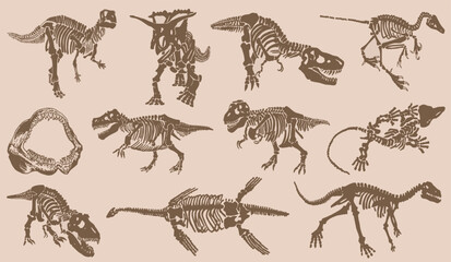 Graphical big vintage set of dinosaurs on sepia background, vector illustration.Fossils © Алексей Воробьёв