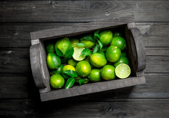 Fresh juicy lime in the box.