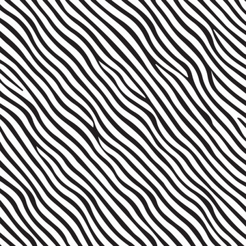 Zebra stripes pattern. Zebra print, animal skin, tiger stripes, abstract drawing, line background, fabric. Amazing hand-drawn vector illustration. Poster, banner. Black and white