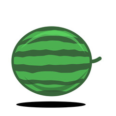 Illustration of Fruit PNG