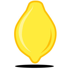 Illustration of Fruit PNG